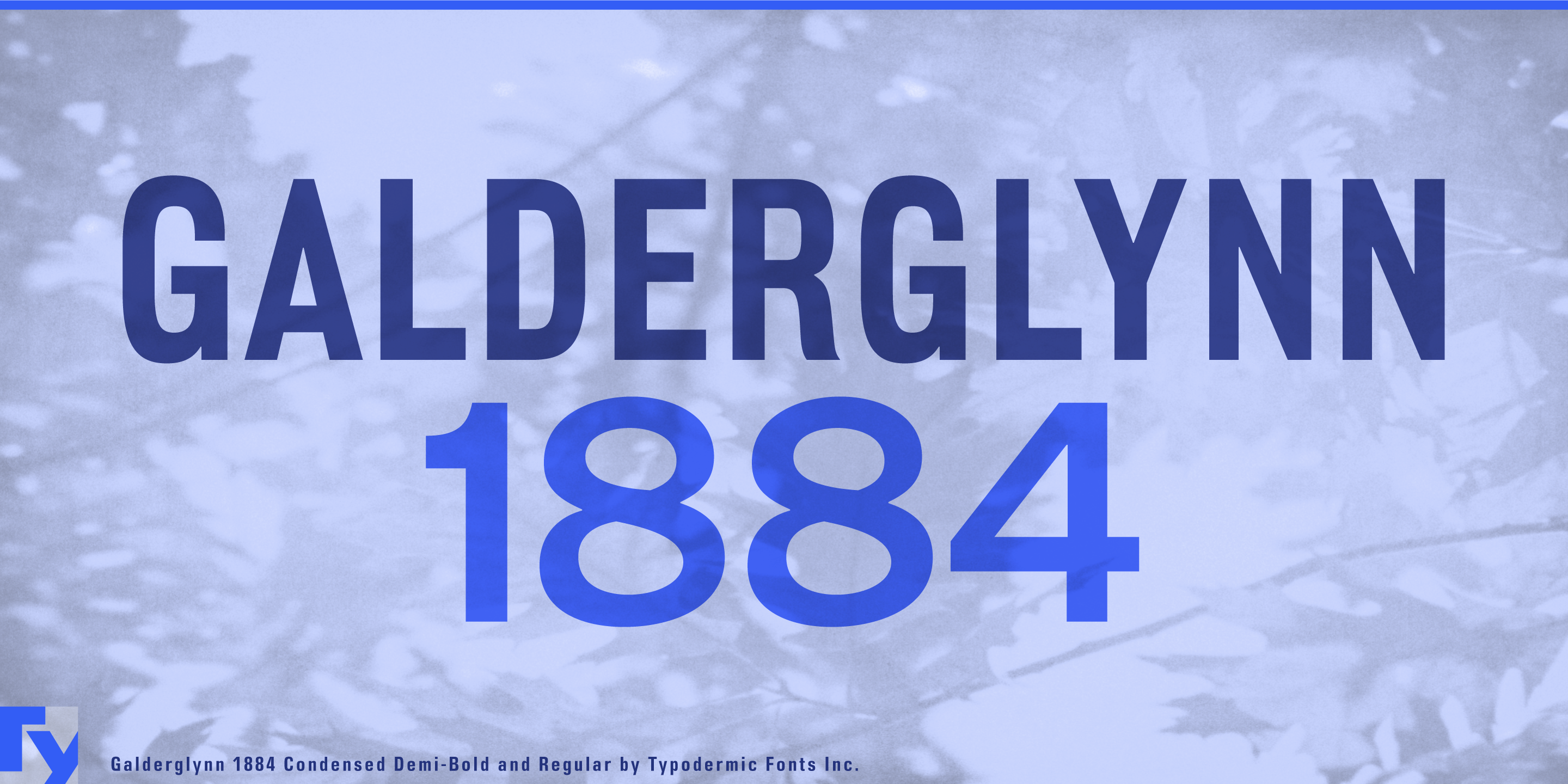 Galderglynn 1884