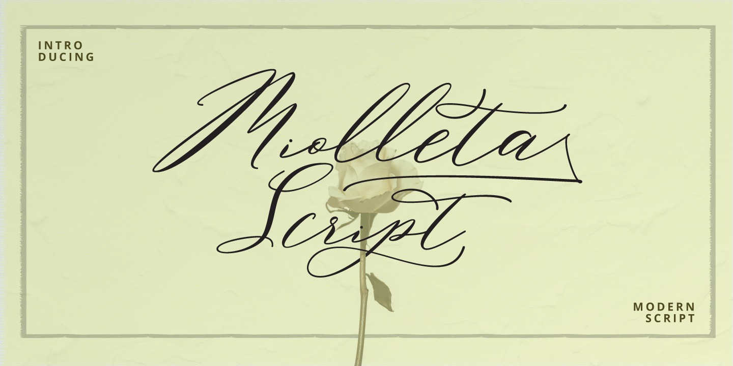 Miolleta Script