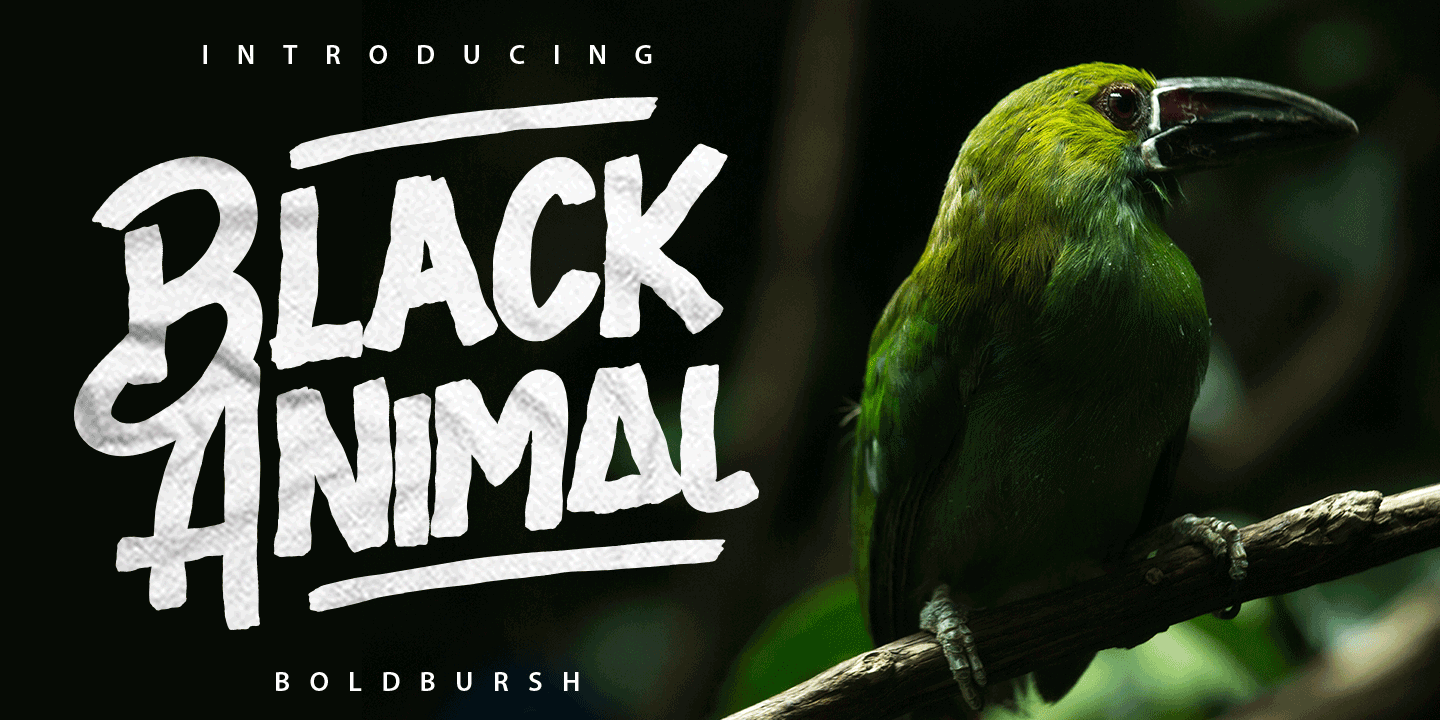 Black Animal