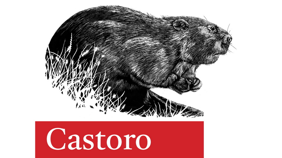 Castoro