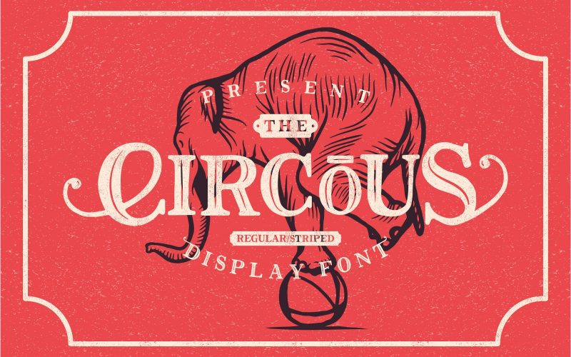 The Circous