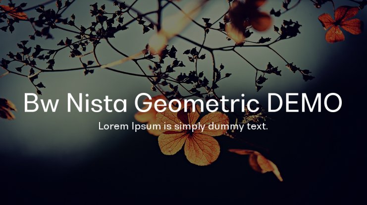 Bw Nista Geometric