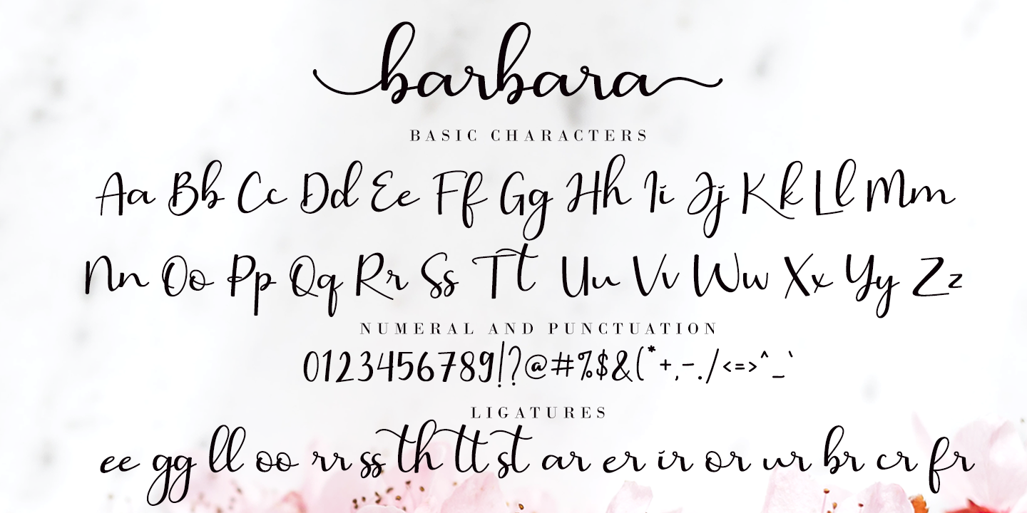 Barbara Calligraphy font | free download for WEB