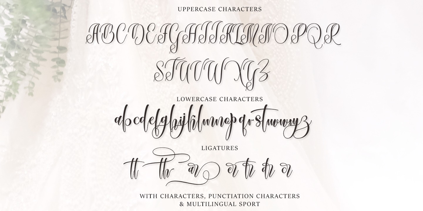 Bardella font | free download for WEB